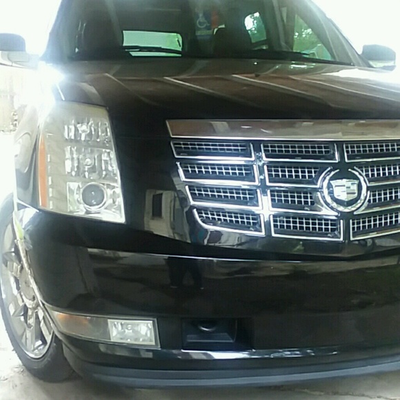 Meet your Posher, Latonya - Picture 1 of 1